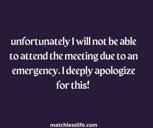 Unfortunately I Will Not Be Able To Attend The Meeting Due To