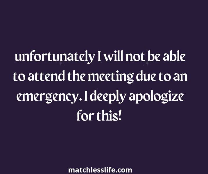100 Words to Say Unfortunately I Will Not Be Able To Attend The Meeting Due To an Emergency