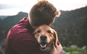 Goodbye Message to My Dog Who Passed Away