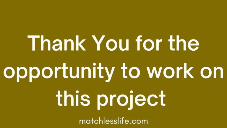 52 Ways to Say Thank You For Giving Me The Opportunity To Work On This Project
