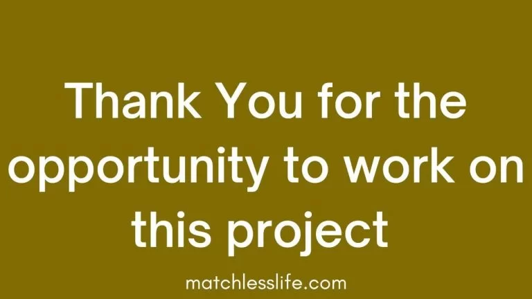 52 Ways to Say Thank You For Giving Me The Opportunity To Work On This Project